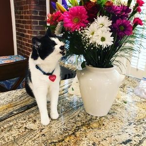 Meet your Posher, Margaret